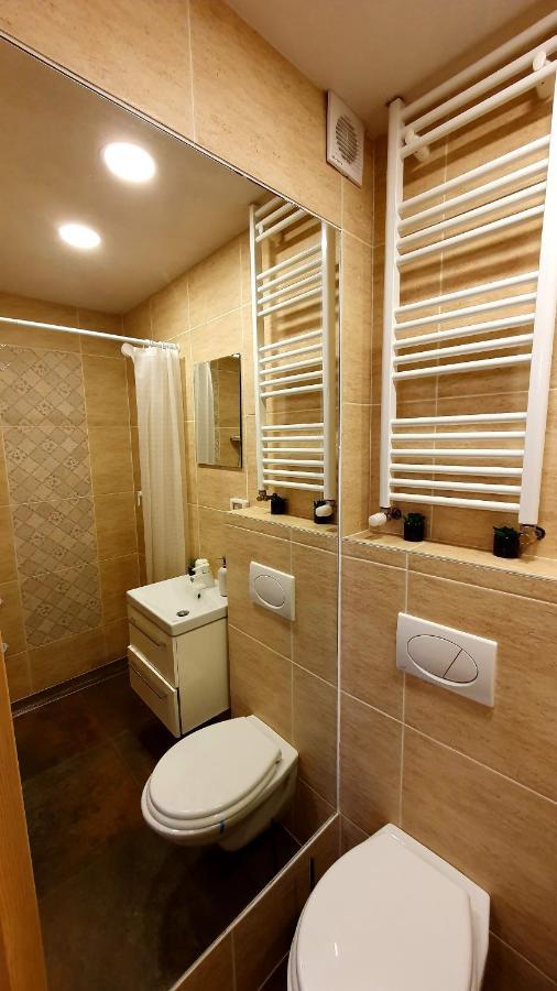 Nomad Apartment 布拉索夫 外观 照片